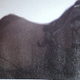 Illustration for article titled NieRs Hermaphrodite Character